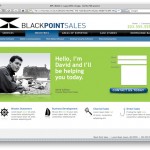Image for Black Point Sales Website & Logo (for Helping the Hub)
