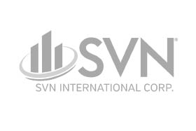 SVN International logo