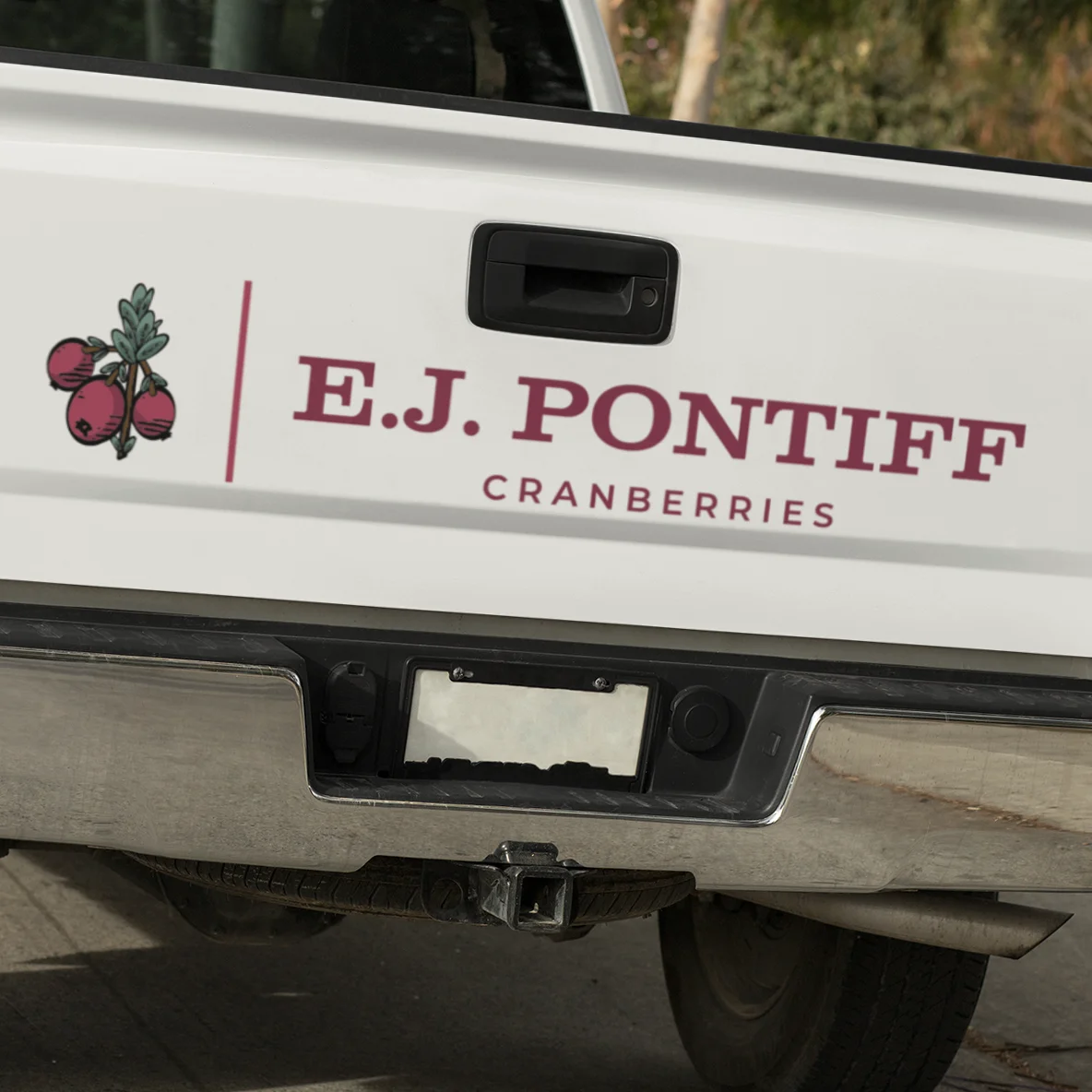 EJ-Pontiff-Truck Cranberry company logo on the back gate of a pickup truck